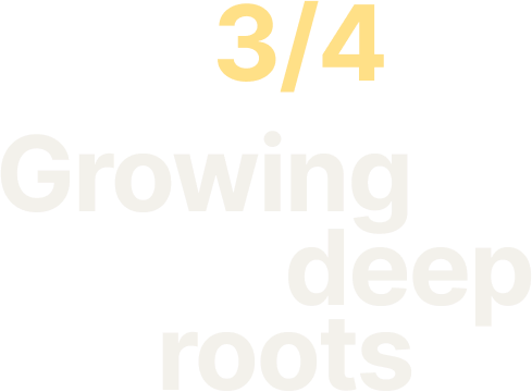 3/4 Growing deep roots